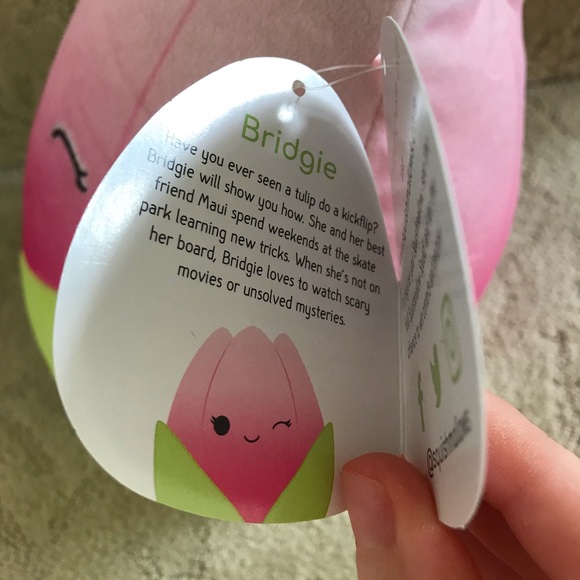 8” Squishmallow Bridgie
Brand New with Tags
Pink Tulip Squishmallow - Picture 3 of 5
